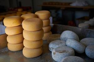 prateleiras de produção de fábrica de queijo com queijo velho envelhecido foto