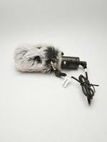 Mini microfone de espingarda preto com protetor de ruído de penas adequado para exibição em sua loja foto