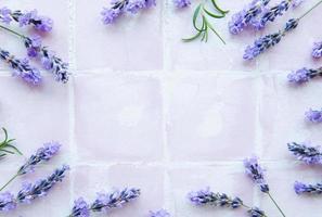 flores de lavanda e deixa moldura criativa em um fundo de azulejo rosa foto