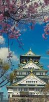 foto da paisagem do castelo de osaka na primavera, onde ainda há algumas flores de cerejeira ainda em flor.