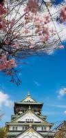 foto da paisagem do castelo de osaka na primavera, onde ainda há algumas flores de cerejeira ainda em flor.