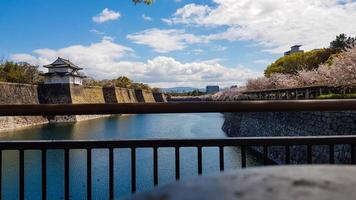 os arredores do castelo de osaka na primavera com lindo céu, rio calmo e flor de cerejeira. foto