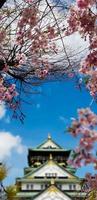 foto da paisagem do castelo de osaka na primavera, onde ainda há algumas flores de cerejeira ainda em flor.