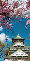 foto da paisagem do castelo de osaka na primavera, onde ainda há algumas flores de cerejeira ainda em flor.