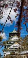 foto da paisagem do castelo de osaka na primavera, onde ainda há algumas flores de cerejeira ainda em flor.