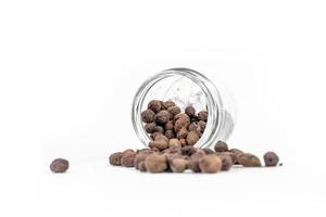 sementes secas de syzygium cumini, vulgarmente conhecido como ameixa malabar, java ou ameixa preta, jamun ou jambolan foto