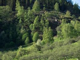 primavera em flam noruega foto