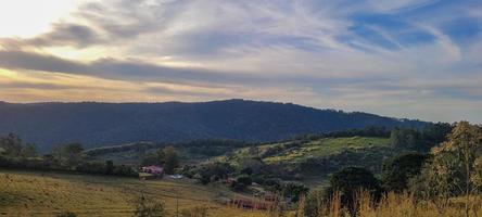 paisagem de natureza rural no interior do brasil em uma fazenda de eucalipto no meio da natureza foto