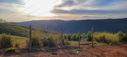 paisagem de natureza rural no interior do brasil em uma fazenda de eucalipto no meio da natureza foto