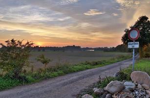 vista de um campo usado para agricultura com grama verde. foto