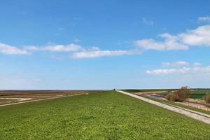 vista de um campo usado para agricultura com grama verde. foto