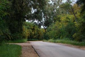 rodovia em israel de norte a sul foto