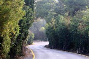 rodovia em israel de norte a sul foto