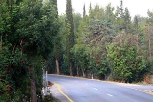 rodovia em israel de norte a sul foto