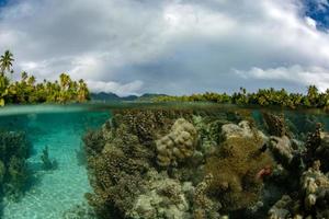 snorkeling nos jardins de recifes de corais da polinésia francesa e arco-íris foto