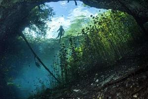 mergulho em cavernas nos cenotes mexicanos foto