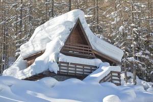 telhados cobertos de neve foto