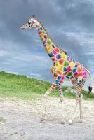 girafa colorida vindo até você no fundo do céu azul profundo foto