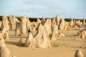 pinnacles park vista para o deserto no oeste da austrália foto