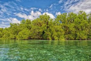 siladen turquesa ilha paradisíaca tropical foto