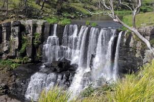 uma vista de ebor cai no caminho da cachoeira em nova gales do sul, austrália foto