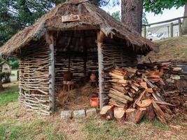 oenach atlantico vigésima edição. agosto de 2018. galicia espanha foto