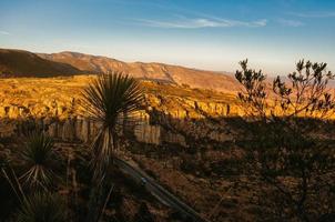 deserto de paisagem do grand canyon no méxico foto