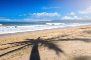 paisagem de fundo com palmeiras nuvens mar e céu azul foto