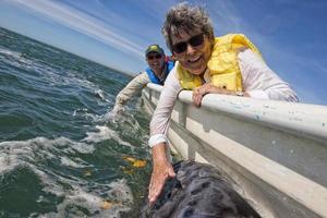 alfredo lopez mateos - méxico - 5 de fevereiro de 2015 - baleia cinzenta se aproximando de um barco foto
