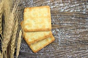 biscoito de trigo integral e quebrado triturado com planta de cevada seca foto