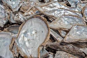 fábrica de pérolas no mar foto