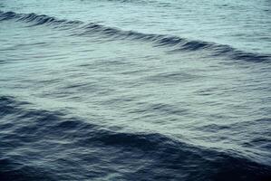 ondas na praia foto