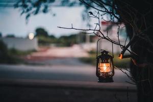 lanterna vintage em uma árvore foto