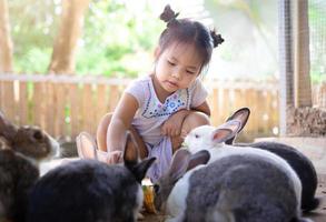 menina asiática, alimentando coelhos em uma fazenda