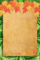 fundo de outono com folhas coloridas em papel velho foto