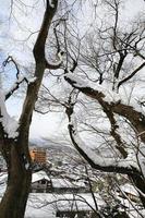 queda de neve no parque de inverno foto