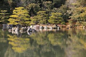 jardim japonês no famoso kinkakuji foto