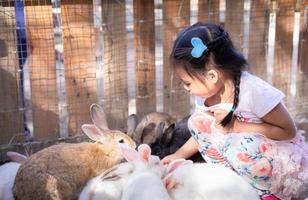 jovem menina asiática socializando com coelhos da fazenda foto