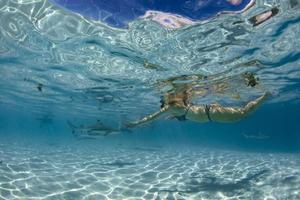 snorkeling na polinésia francesa com arraia foto