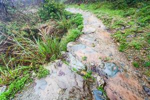 caminho molhado na colina com terraço em dazhai foto