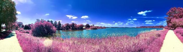 bela e colorida paisagem de fantasia em estilo infravermelho roxo asiático foto