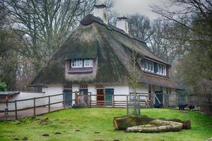 estilo de filme hobbit da janela de grama foto