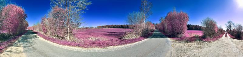 bela e colorida paisagem de fantasia em estilo infravermelho roxo asiático foto