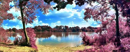 bela e colorida paisagem de fantasia em estilo infravermelho roxo asiático foto