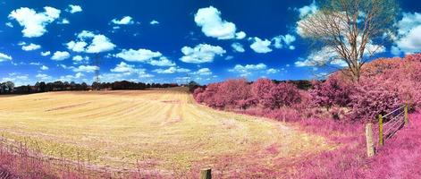 bela e colorida paisagem de fantasia em estilo infravermelho roxo asiático foto