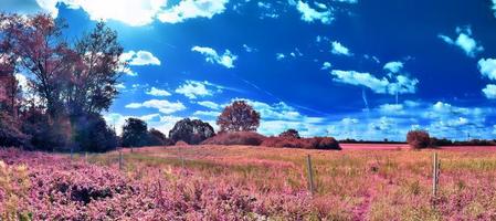 bela e colorida paisagem de fantasia em estilo infravermelho roxo asiático foto