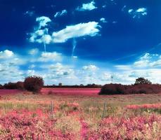 bela e colorida paisagem de fantasia em estilo infravermelho roxo asiático foto