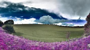 bela e colorida paisagem de fantasia em estilo infravermelho roxo asiático foto