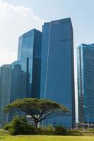 edifícios no horizonte de singapura foto