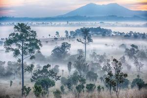 nascer do sol nebuloso no parque nacional de thung salaeng luang
